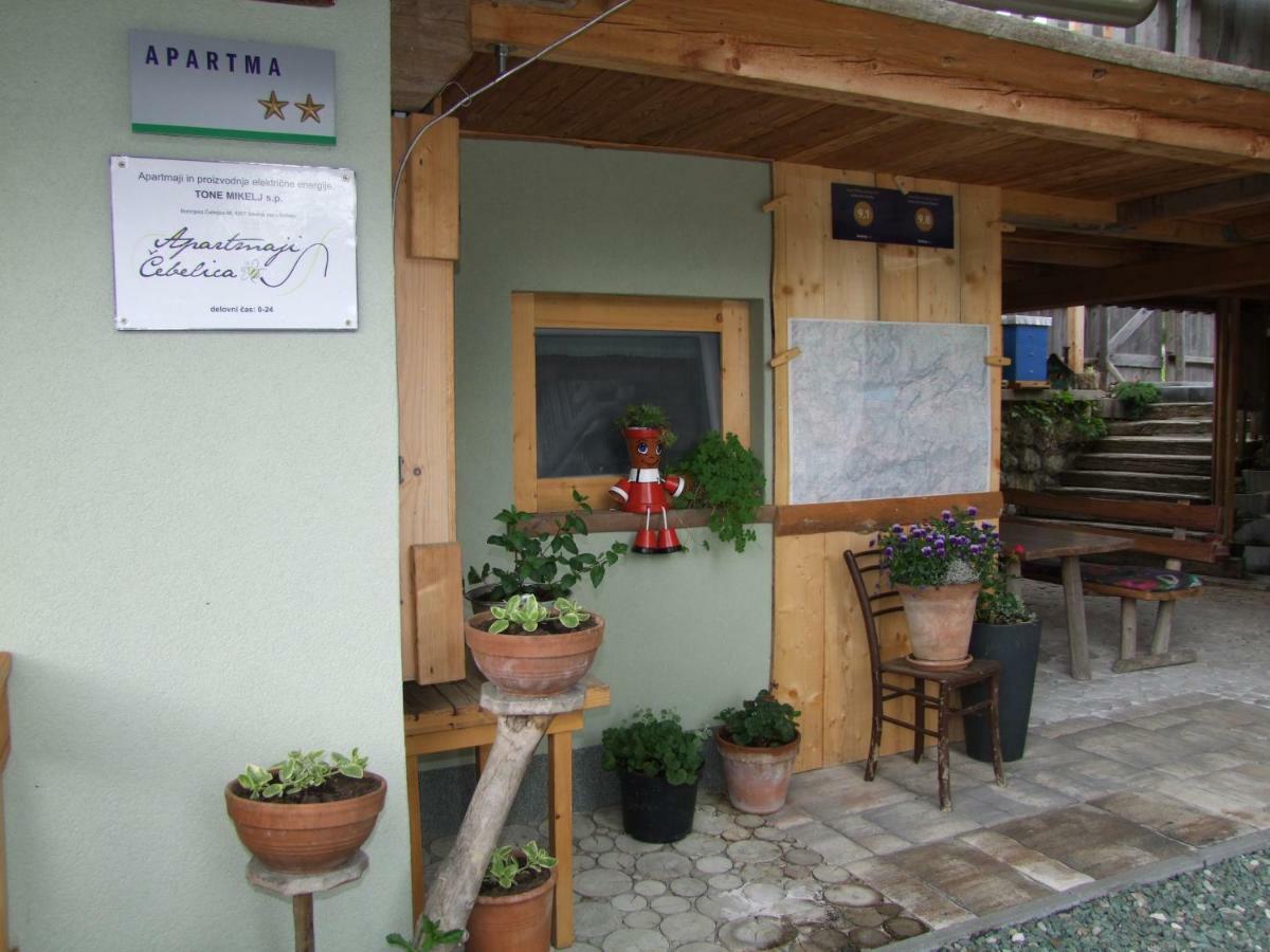 Apartments Cebelica Bohinj Exterior foto
